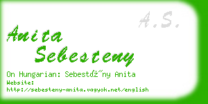 anita sebesteny business card